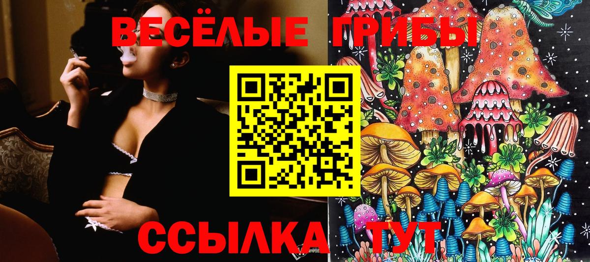 Галлюциногенные грибы GOLDEN TEACHER  Галлюциногенные грибы прущие грибы  Вход с VPN  Миасс 